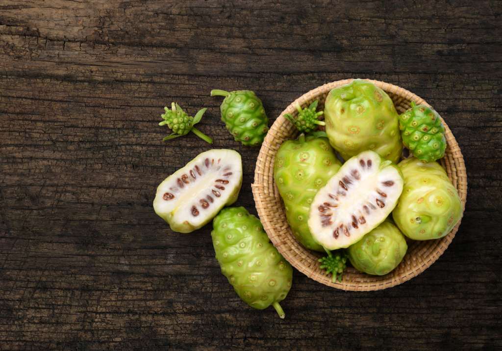 Noni - The Great Immune Enhancer - Tahiti Trader