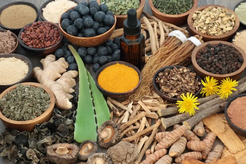 What is an Adaptogen Anyway? - Tahiti Trader