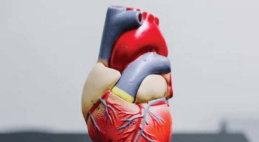 Tart Cherry Juice's Impact on Cardiovascular Health - Tahiti Trader
