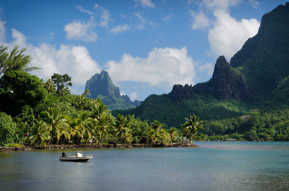 The Healing Wisdom of the Ancient Polynesians - Tahiti Trader