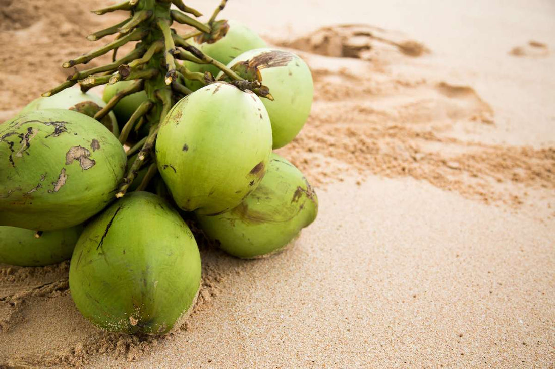 Don't Stock up on Apple Cider Vinegar...Until you read this! - Tahiti Trader